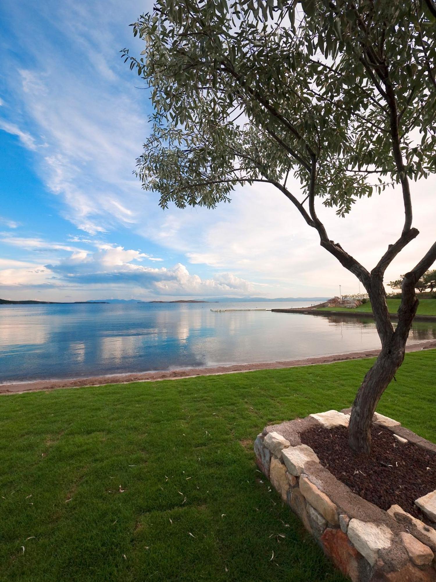 Ortunc Hotel - Cunda Island (Adults Only) Ayvalı Esterno foto